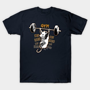 Gym Body Goals T-Shirt